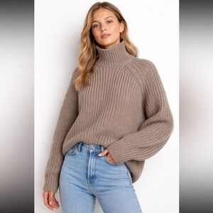 H&M Turtleneck Sweater